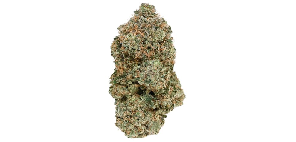 Whether you’re lighting up traditionally or exploring newer methods, the essence of Death Bubba strain promises to shine through.