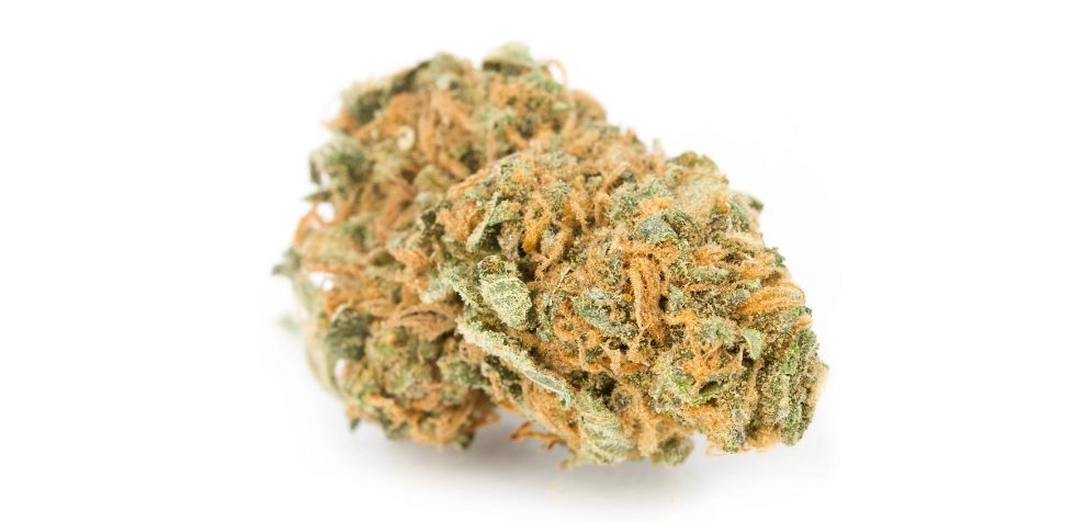 The Girl Scout Cookies strain is a true visual masterpiece with an iconic and rather delicious aroma and flavour.