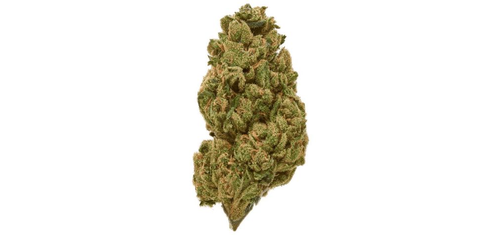 When buying weed online from an online dispensary, knowledge of a strain’s effects is key to getting the ideal results.