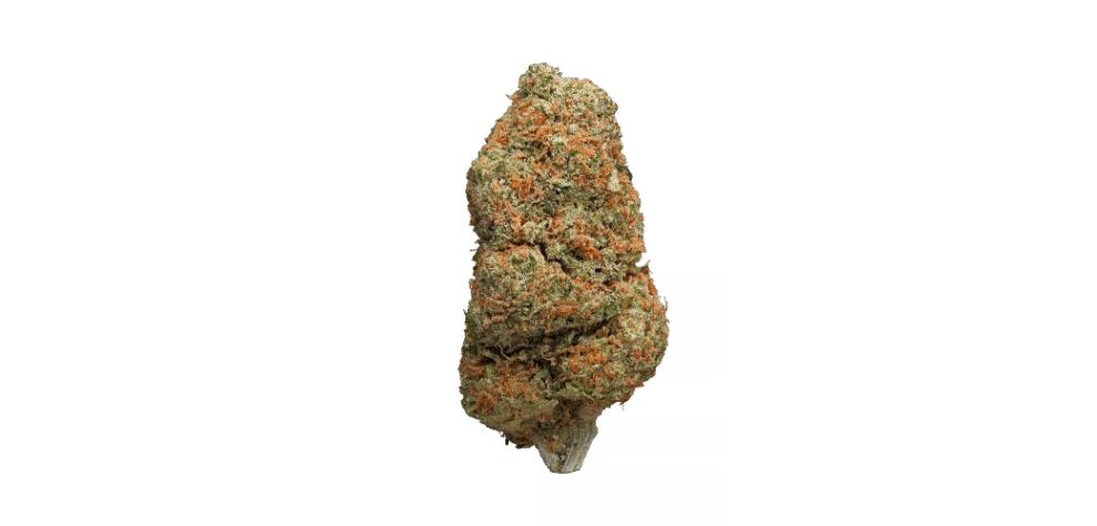 We recommend the strain Northern Lights to moderate cannabis users who are looking for around 20 percent THC on average. 