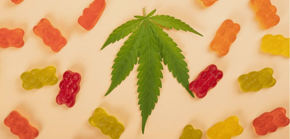 In most cases, when you buy weed online, you can find THC gummies with around 5 to 25 mg of the psychoactive compound. Just check the label of your weed gummy to be sure of the exact dosage!