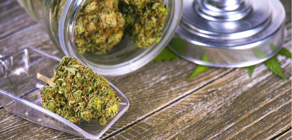 Purchase weed from the best online marijuana dispensary and discover why it’s making waves among Canadian stoners.