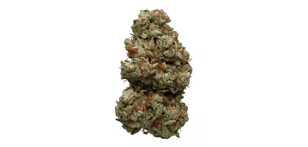 Buy weed online in Canada like this Indica if you want to feel like you are melting away! More importantly, purchase it today to fight the signs and symptoms of the following medical conditions: