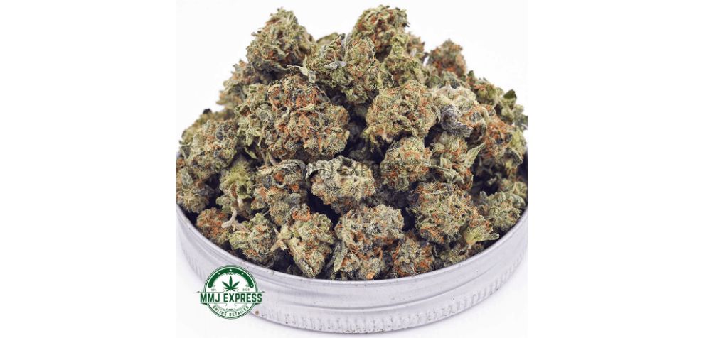 Like the Ghost Train Haze strain, the Amnesia Haze AAAA (Popcorn Nugs) is a Sativa hybrid (80 percent Sativa) with around 26 percent THC content. Also, like Ghost Train Haze, this Sativa is energizing, creativity-boosting, and euphoric. 