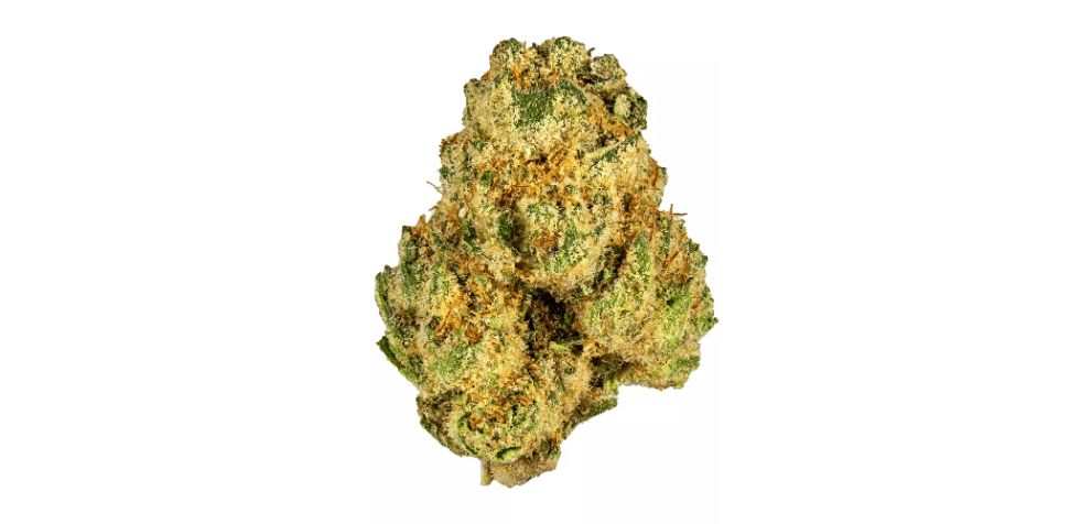 Try the Animal Face strain, a Sativa leaning hybrid (60 percent Sativa and 40 percent Indica), and one of the highest-grade buds to get at an online dispensary. 