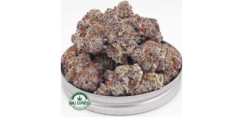 The Apple Fritter AAAA+ is one of the best alternatives to the Animal Face strain, and we'll tell you why. 