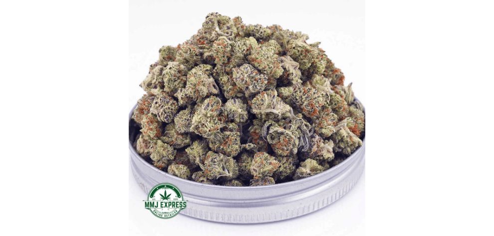 Looking to get the best of both sides? Buy this AAAA Blackberry Pie and the best of both indica and sativa strains all in one bud.