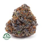 Buy Cannabis Purple Urkle AAAA at MMJ Express Online Shop