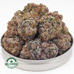 Buy Cannabis Purple Urkle AAAA at MMJ Express Online Shop