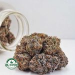 Buy Cannabis Purple Urkle AAAA at MMJ Express Online Shop