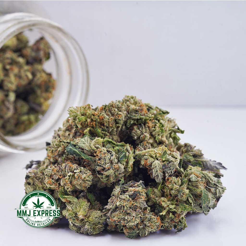 Buy Cannabis 91 Octane AAAA (Popcorn Nugs) at MMJ Express Online Shop