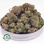 Buy Cannabis Blueberry Bomb AAAA (Popcorn Nugs) at MMJ Express Online Shop