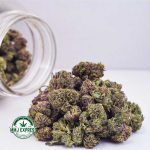 Buy Cannabis Blueberry Bomb AAAA (Popcorn Nugs) at MMJ Express Online Shop