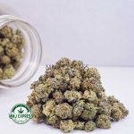 Buy Cannabis Grape Stomper AAA (Popcorn Nugs) at MMJ Express Online Shop