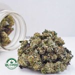 Buy Cannabis Pink Cookies AAAA (Popcorn Nugs)  at MMJ Express Online Shop