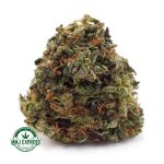Buy Cannabis Pink Gas AA at MMJ Express Online Shop