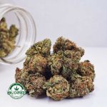 Buy Cannabis Pink Gas AA at MMJ Express Online Shop