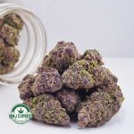 Buy Cannabis Dosi Punch AAAA at MMJ Express Online Shop