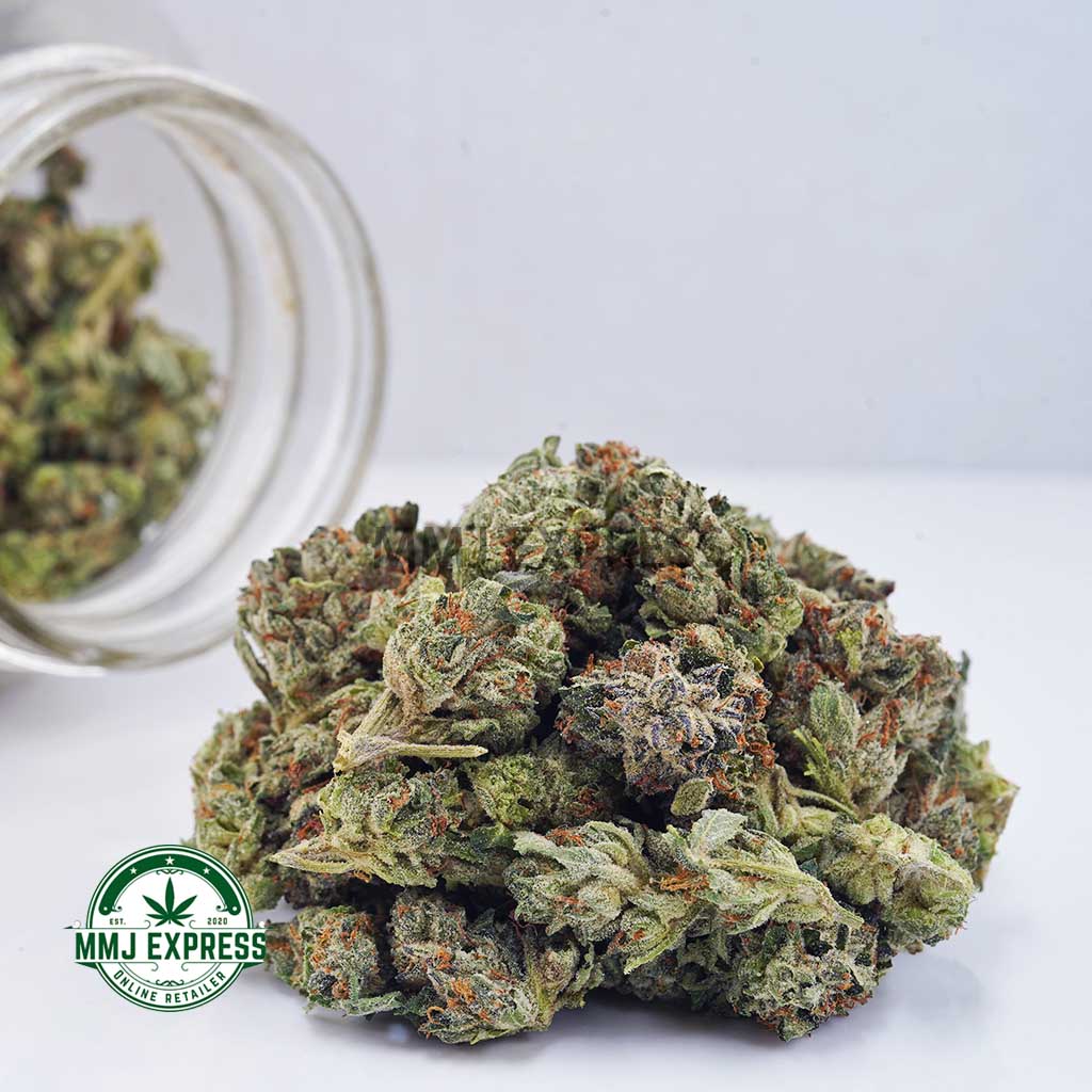 Buy Cannabis Blueberry Kush AAAA (Popcorn Nugs) MMJ Express Online Shop