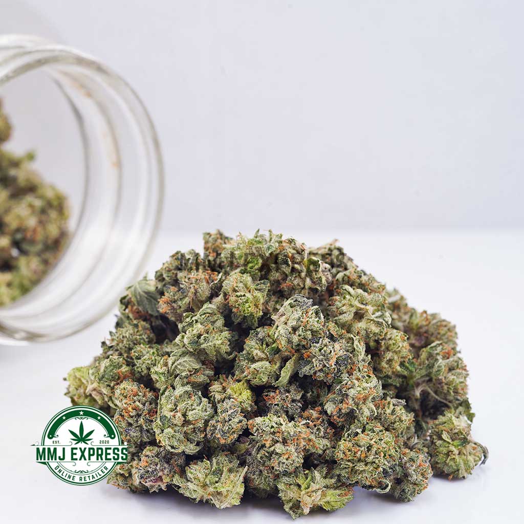 Buy Cannabis Master Jedi AAAA (Popcorn) at MMJ Express Online Shop