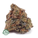 Buy Cannabis Peaches And Cream AAA at MMJ Express Online Shop
