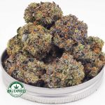 Buy Cannabis Gassy Gelato AAAA+, Craft MMJ Express Online Shop