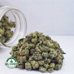 Buy Cannabis OG Kush AAA (Popcorn Nugs) at MMJ Express Online Shop