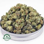 Buy Cannabis Platinum Rockstar AAA (Popcorn Nugs)  at MMJ Express Online Shop