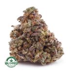 Buy Cannabis Blueberry Headband AA at MMJ Express Online Shop