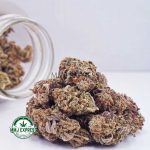 Buy Cannabis Blueberry Headband AA at MMJ Express Online Shop