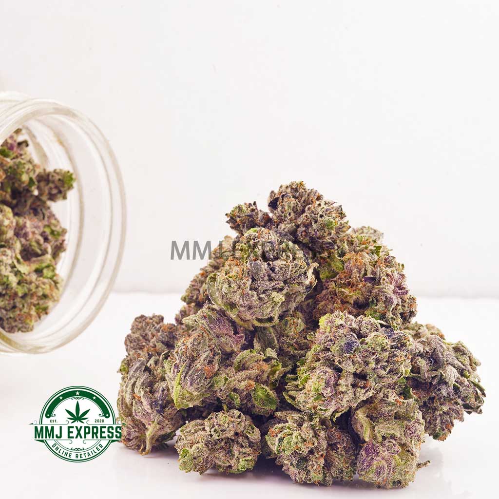 Buy Cannabis Comatose OG AAA at MMJ Express Online Shop