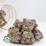 Buy Cannabis Mendo Breath AAAA+, Craft at MMJ Express Online Shop