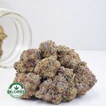 Buy Cannabis Super Skunk AAAA at MMJ Express Online Shop