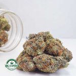 Buy Cannabis Gas Mask AAAA MMJ Express Online Shop