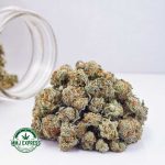 Buy Cannabis Romulan AAAA (Popcorn Nugs) Online at MMJ Express