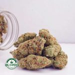 Buy Cannabis El Muerte AAA MMJ Express Online Shop