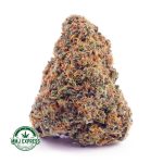 Buy Cannabis Lemon Meringue AA at MMJ Express Online Shop