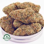 Buy Cannabis Lemon Meringue AA at MMJ Express Online Shop