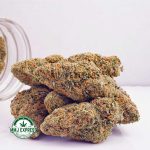Buy Cannabis Lemon Meringue AA at MMJ Express Online Shop