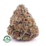 Buy Cannabis OG Skunk AAA at MMJ Express Online Shop