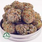 Buy Cannabis OG Skunk AAA at MMJ Express Online Shop