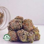 Buy Cannabis OG Skunk AAA at MMJ Express Online Shop