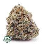 Buy Cannabis Super Lemon Haze AAA at MMJ Express Online Shop