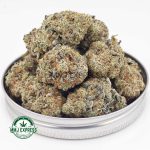 Buy Cannabis Super Lemon Haze AAA at MMJ Express Online Shop