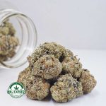 Buy Cannabis Super Lemon Haze AAA at MMJ Express Online Shop