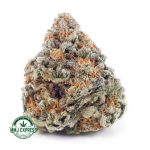 Buy Cannabis Peach Runtz AA at MMJ Express Online Shop