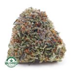 Buy Cannabis Chemdawg AA at MMJ Express Online Shop