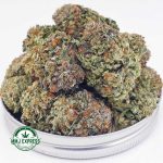 Buy Cannabis Chemdawg AA at MMJ Express Online Shop