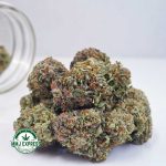 Buy Cannabis Chemdawg AA at MMJ Express Online Shop