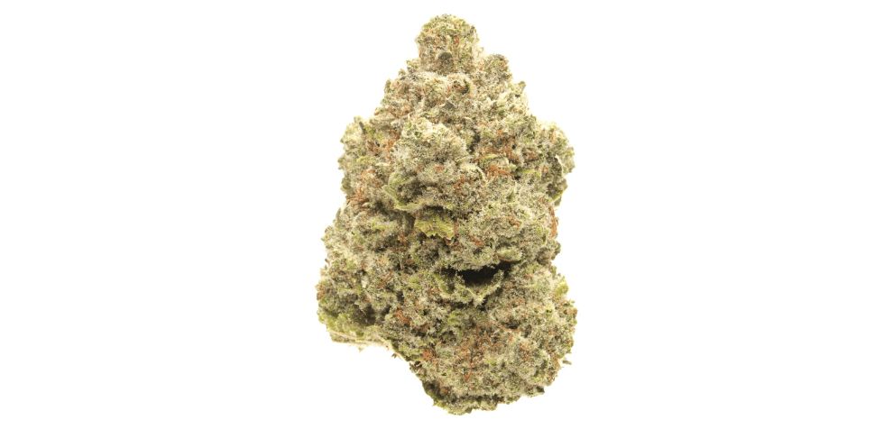 The Death Star strain is the child of Sour Diesel and Sensi Star, two powerful and delectable cannabis parents with their own set of impressive abilities. 